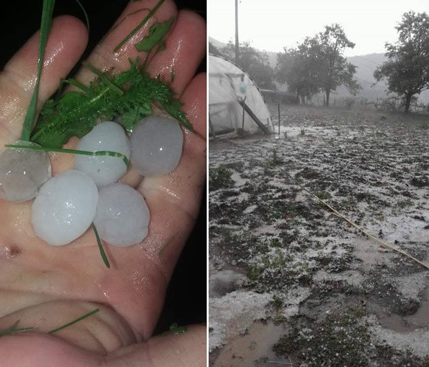 ГРАД УБИО И РАКЕТЕ И ВОЋЊАКЕ: На многим стаблима није остао ниједан плод (ФОТО)